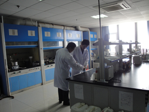 化学合成部风貌